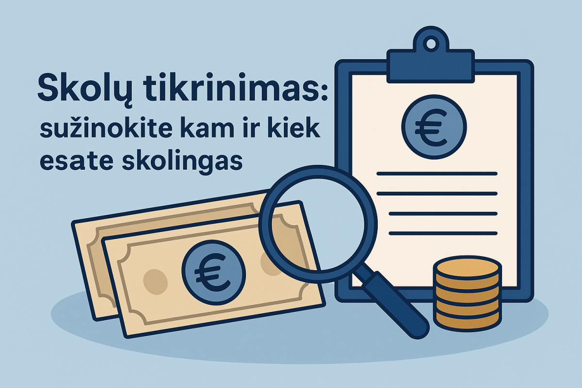 Skolų tikrinimas: sužinokite kam ir kiek esate skolingas